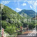 운일암숲펜션 이미지