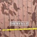 미사호수공원(미사1동행정복지센터인근) | 하남 미사호수공원물놀이장 | 예약 꿀팁부터 수영장 정보까지