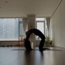 오르아요가 이미지