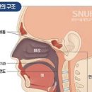 코암 비강암 원인 증상 진단 치료 예방 수술 이미지