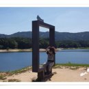 협심(관)-좌 | 光山金氏의 5대파(五大派)