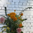 임당유통 이미지