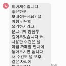 비아제주스테이 이미지