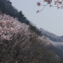 안민 티스토리