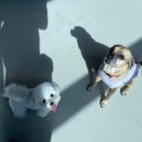 똑독트레이닝스쿨 이미지