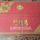 [판매완료] 한라봉 농장직거래 꼬마 한라봉 팝니다. 50과~60과 30,000원(택배비무료) 전화주세요. 이미지