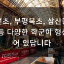 순천삼산중학교 이미지