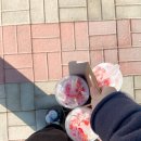 가든다방 이미지