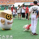 강비