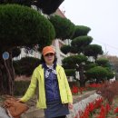 흥덕초교 이미지