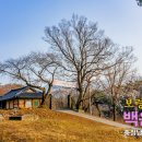 백제골2 이미지