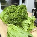 정진농장 이미지