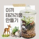 내 책상위의 작은 숲 테라리움 | 작은 숲으로 마음을 돌보는 힐링 원예수업&lt;이끼테라리움 만들기&gt;