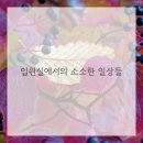 햇살나무한의원 이미지