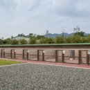 진도메디칼 이미지