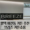 평남로 | [평택] 평택커튼 보러 갔다가 러그까지 눈에 들어온 브리즈커튼쇼룸 후기