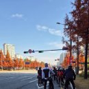 11/15토 정라 스키원지기님과 파주출판단지 봉일천 삼릉으로 ~ ~ (주병선)들꽃 이미지