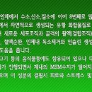 Re:캐나다산 소나무에서 추출한 천연유기유황 "MSM" 영상 이미지