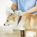 국립생태원동물병원 이미지