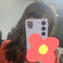 엘2알 이미지