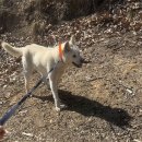 꽃보라미용실 | March, 2023