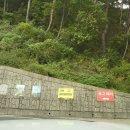 단양명소추천/ 더쎈패러글라이딩 솔직후기/ 패러글라이딩 안전한 곳/ 하늘 위를 날다~