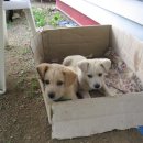 승룡농장 이미지