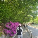 광명누리길 1코스 | 경기도(광명시) 구름산 등산 후기 (구름산 산림욕장-전망대-구름산-산불감시초소-보건소)(26.05.01)