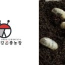 영천농장 이미지