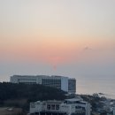 멍팰리스 | 기장 속 유럽, 빌라쥬드아난티 듀플렉스하우스 후기(루, 스프링팰리스vs워터하우스 비교)