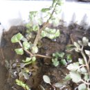 우근농장 이미지