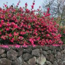 한라아트홀 대극장 이미지