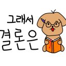 라라브레드고양