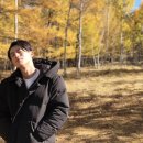 디디 Daum카페