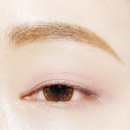 노피어 | 데일리부터 파티룩까지 실용성 갑! 베어블랑 노피어 아이섀도우 팔레트