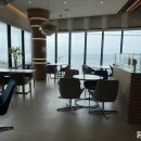 바움하우스 이미지