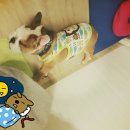 뽕자