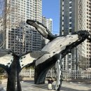 부산해양자연사박물관 | 부산 아이랑 실내 나들이 추천｜동래 부산해양자연사박물관 다녀온 후기