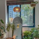 (주)세이지 | 쌍문동 카페 분위기 좋은 선덕고등학교 근처 카페 세이지