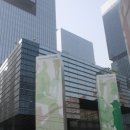 딜라이트비전