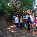 조강철책길 이미지