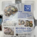 혜지 | 완도 전복장조림 추천 혜지네 전복장 가격 식감 후기