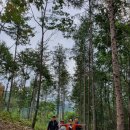 삼막골농원 이미지