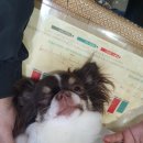 모리동물병원 이미지