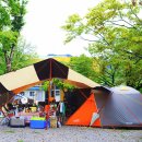 사나래캠핑장 이미지