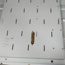 손오공게임장 이미지