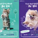 나우동물의료센터 이미지