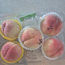 장택농장 | 일기 쫀복 말랑 쫀득 백도 &#34;아카즈키(あかつき) 엑셀라&#34; &#34;장택백봉&#34; - 복켓팅 복픈런 복친자 재구매 후기 🍑