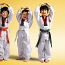 용인대석사타이곤태권도 이미지