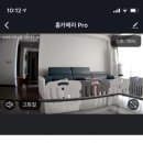 예은켄넬 이미지